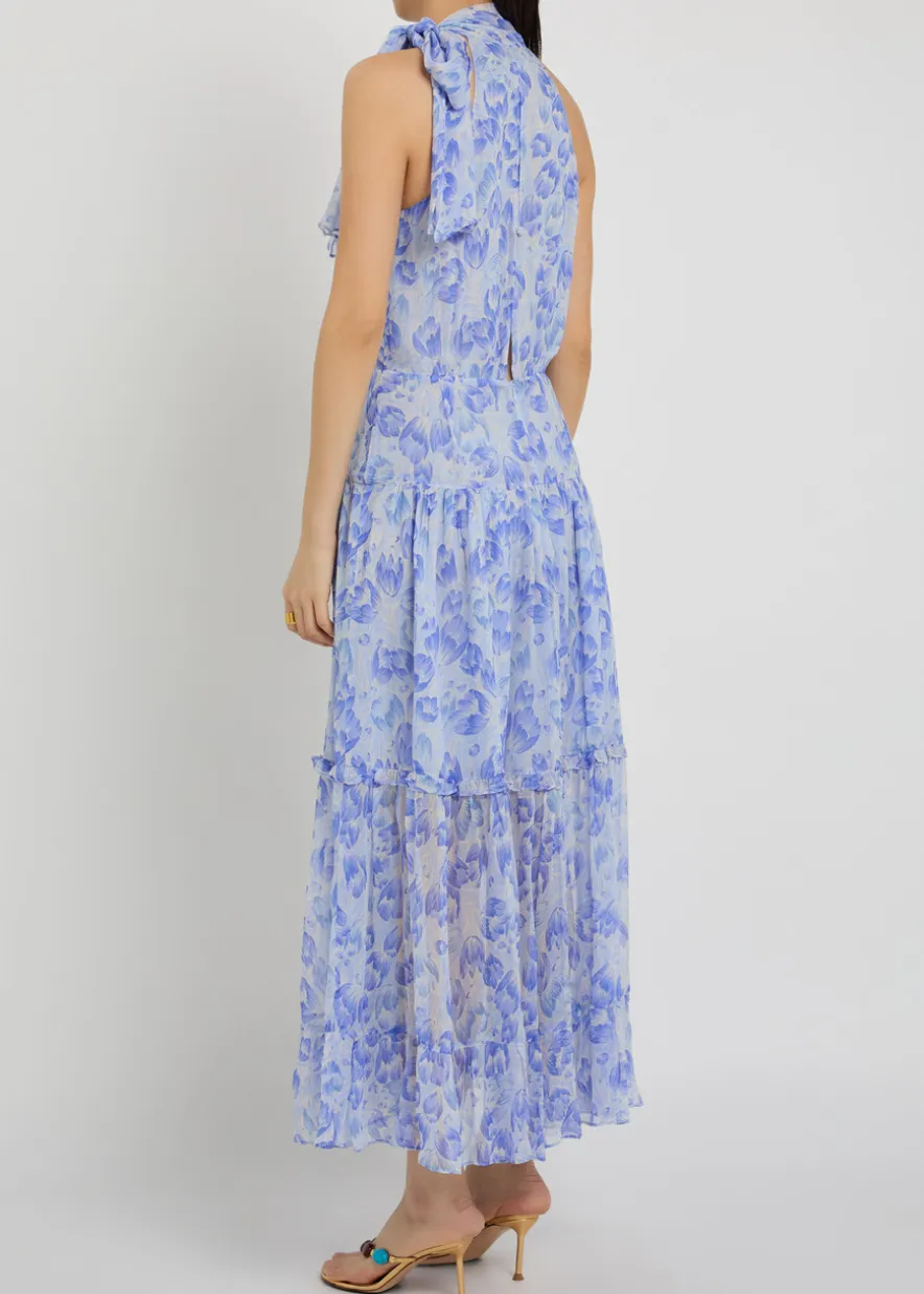 Abi floral-print chiffon maxi dress