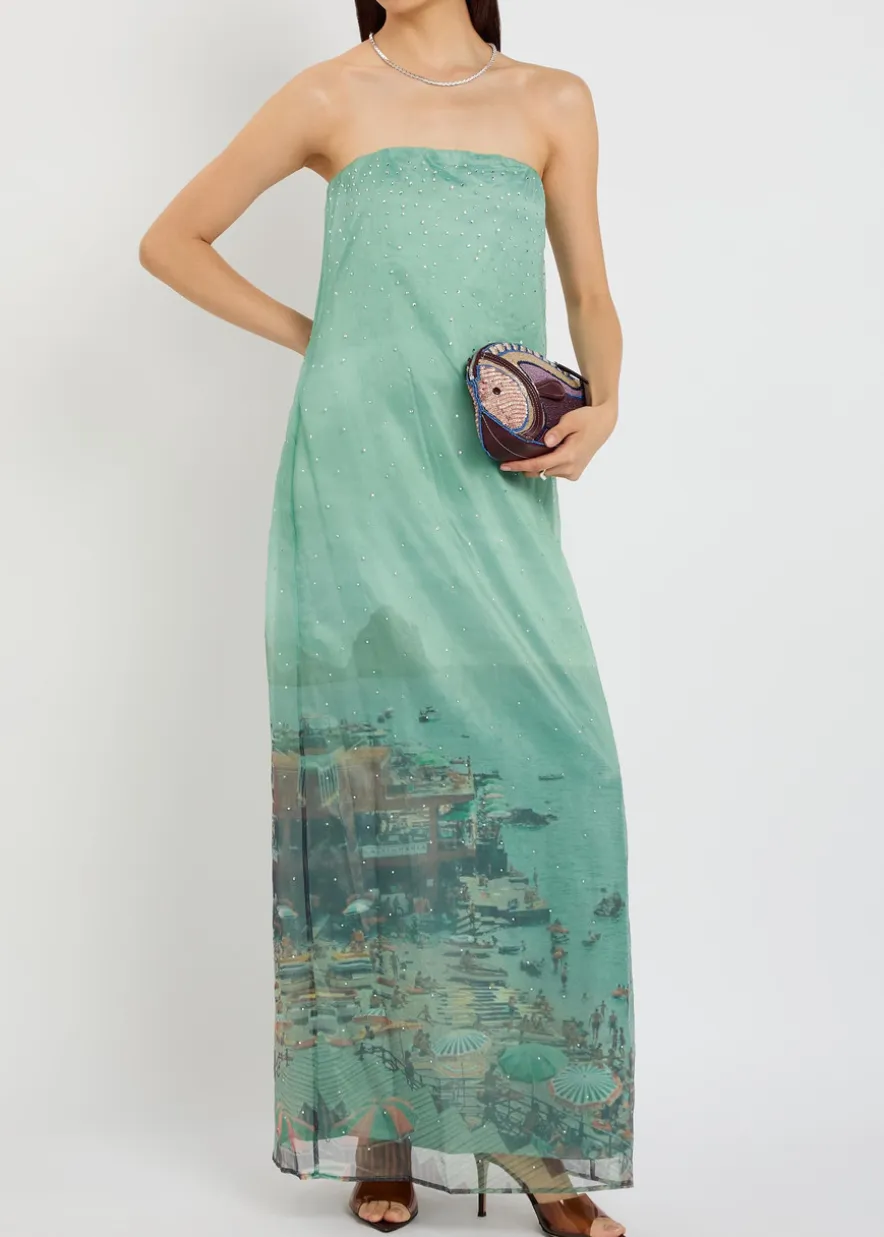 Amara printed embellished organza maxi dress