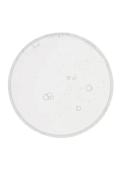 Antioxidant Essence NAC Y²