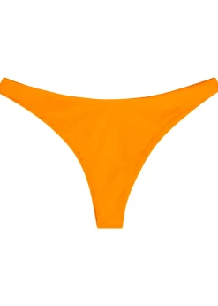 Fiji bikini briefs