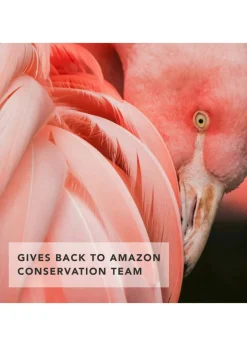 Flamingo Dusk Eye Trio