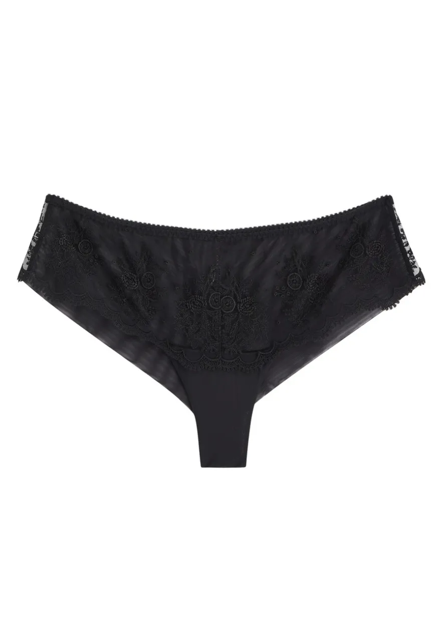 Intrigue embroidered tulle briefs