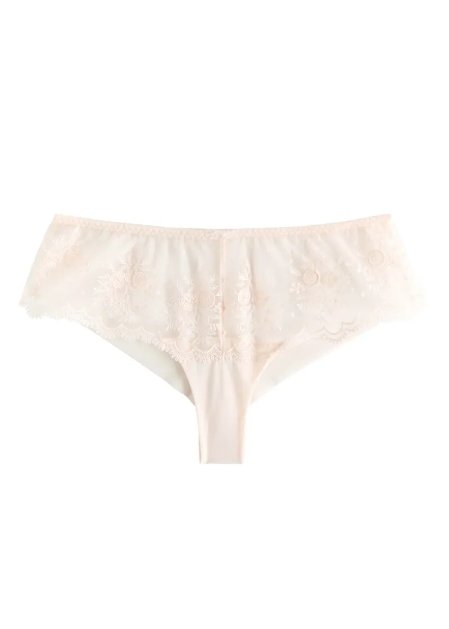 Intrigue embroidered tulle briefs