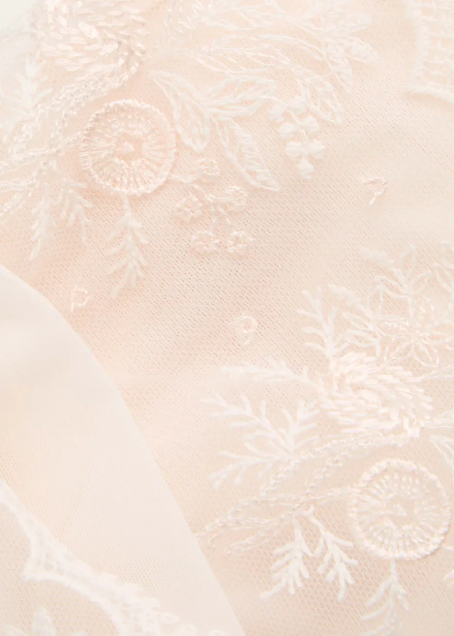 Intrigue embroidered tulle briefs