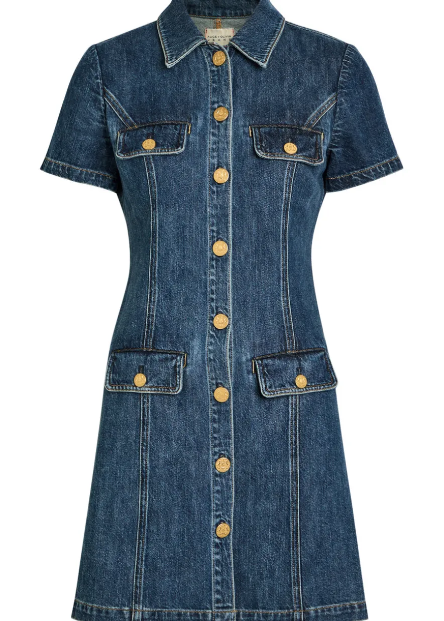 Jamie collared denim mini shirt dress
