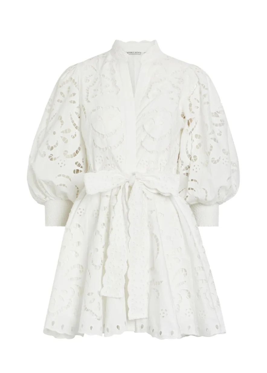 Lucy embroidered cotton mini shirt dress