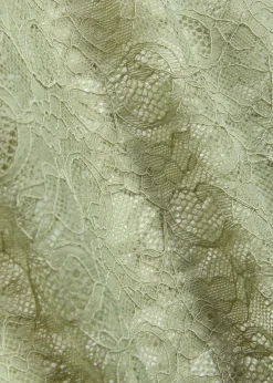 Lunchy lace bodysuit