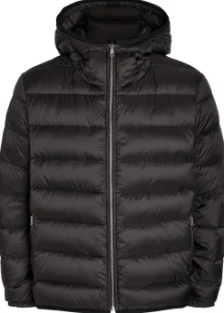 Padded hooded nylon jacket