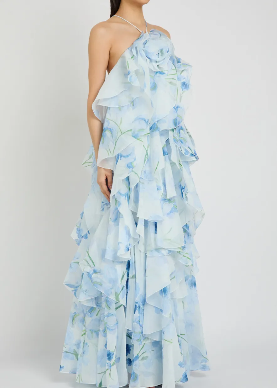 Pandorea ruffled chiffon maxi dress