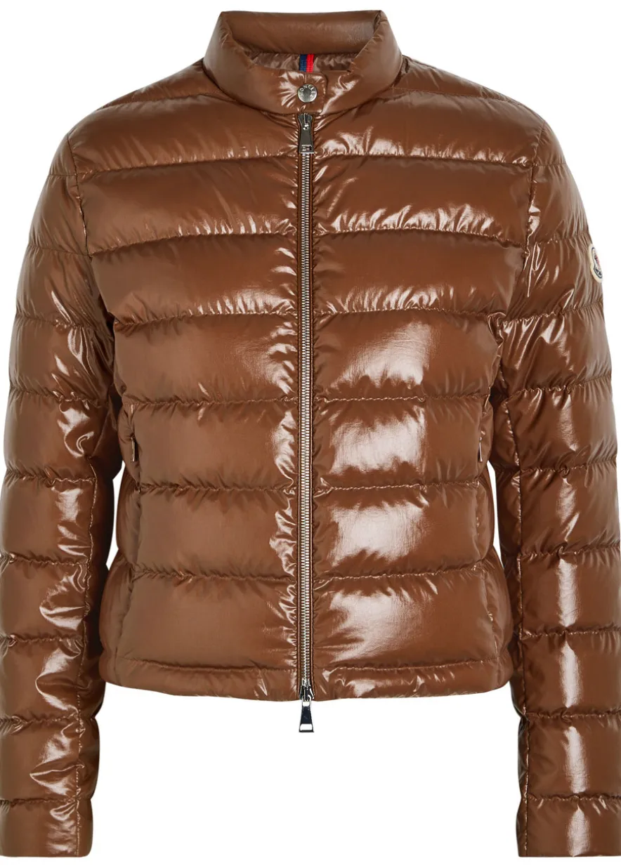 Papillon padded glossed shell jacket