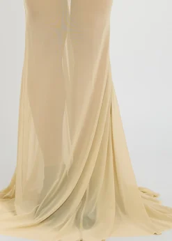 Temple panelled stretch-tulle gown