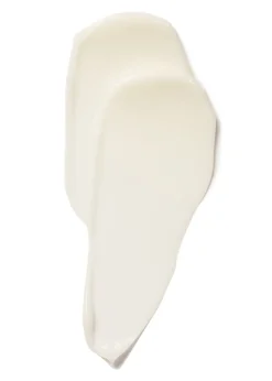 The Absolute Active Replenishing Moisturizer