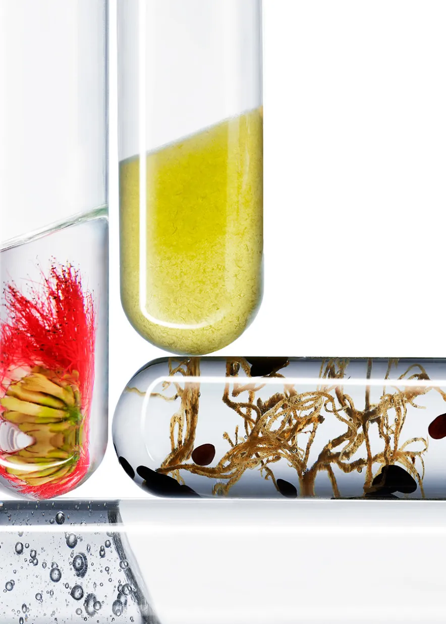 The Exceptional Eye Lift Concentrate