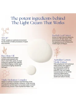 The Light Cream 30ml
