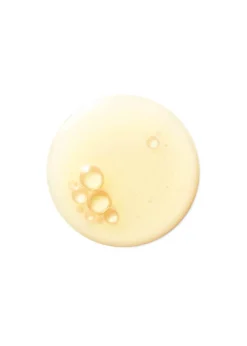 The Renewal Oil 15ml