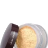 Translucent Loose Setting Powder
